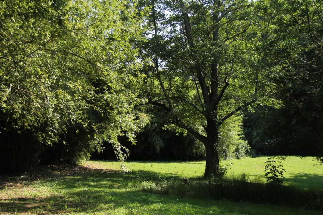 Au Petit Bernerot - Les Gites De L'Arbre Voyageur Eauze Zewnętrze zdjęcie